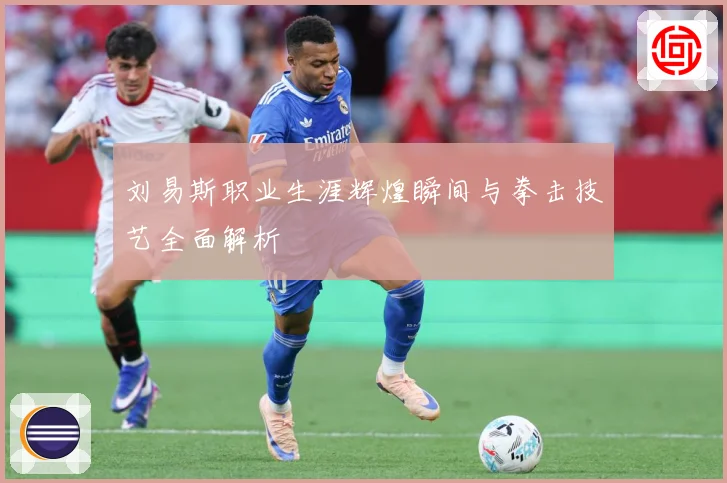 刘易斯职业生涯辉煌瞬间与拳击技艺全面解析