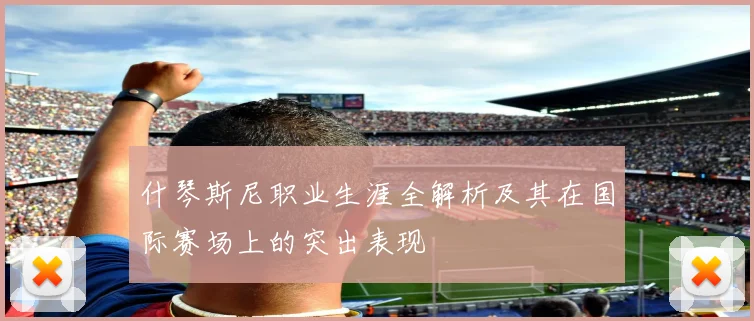 什琴斯尼职业生涯全解析及其在国际赛场上的突出表现