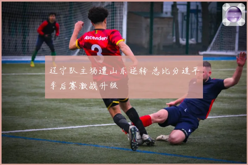 辽宁队主场遭山东逆转 总比分追平季后赛激战升级