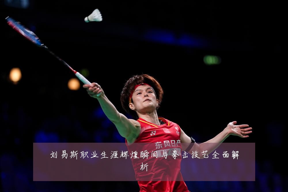 刘易斯职业生涯辉煌瞬间与拳击技艺全面解析