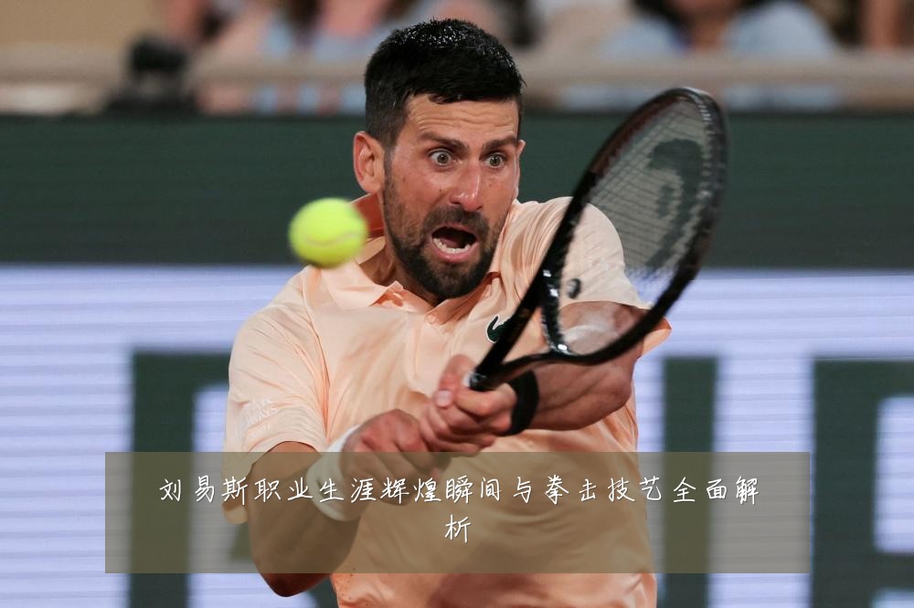 刘易斯职业生涯辉煌瞬间与拳击技艺全面解析